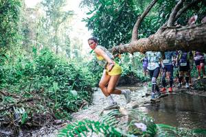 BIB: 
                            <button type="button" onclick="openModal(25455915)" class="btn btn-primary btn-sm float-right btn-popup" data-toggle="modal" data-target=".modal-high-quality">
                        <i class="fas fa-shopping-cart"></i> Add to Cart
                    </button>
                                            <button type="button" onclick="isThisMe(25455915, true)" class="btn btn-success btn-sm float-right btn-popup btn-isme hidden" data-toggle="tooltip" data-placement="bottom" title="นี่คือรูปของคุณใช่ไหม คลิกที่นี่เพื่อเอาเข้าอัลบั้ม">
                        <i class="fas fa-plus"></i> Add to album
                    </button>
                    <button type="button" onclick="isThisMe(25455915, false)" class="btn btn-warning btn-sm float-right btn-popup btn-isnotme hidden">
                        <i class="fas fa-ban"></i> Remove from album
                    </button>